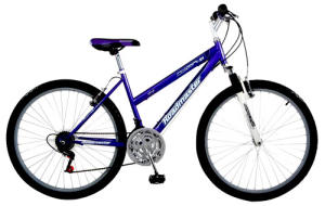 A typical bike from a big box store