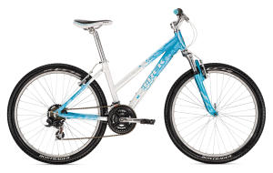 A typical bike from a bike shop